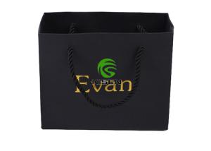 China Black Matt Laminated Paper Bags , Twisted Handle Printed Paper Shopping Bags wholesale