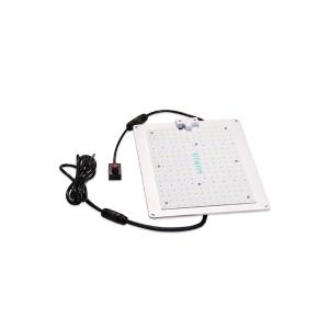 China 2KG 450nm Lm301b White LED Grow Light For Vegetables wholesale