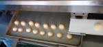 Maamoul Filled Cookies Food Encrusting Machine 3000 - 6000pcs/H
