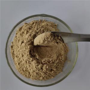 China Herbal Medicine Thunberg Fritillary Bulb Extract wholesale