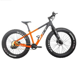 China 12Speed Full Carbon Mountain Bikes Fat Tire Snow MTB Bikes 26 Inch wholesale