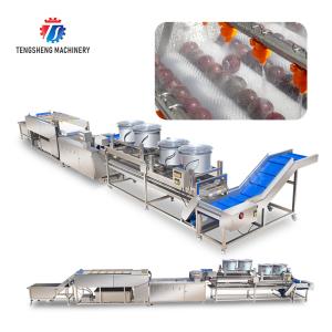 Revolutionize Your Production Process with Our Fruit And Vegetable Processing