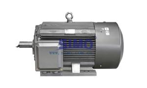 China YE3 112M-2 88.1% High Efficiency 3 Phase Induction Motor 4KW 380V wholesale