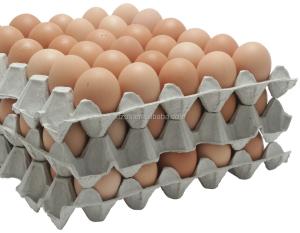 China Full Automatic Egg Box Machine , Egg Crate Manufacturing Machine 115kw wholesale