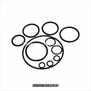 Kawasaki K3v63dt Hydraulic Pump Fixing Oil Seal Kit