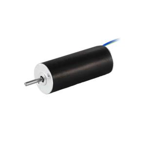 China Custom Slotless Brushless Motor 12mm 6.5W 25310rpm Coreless DC Motor For Medical Pumps wholesale
