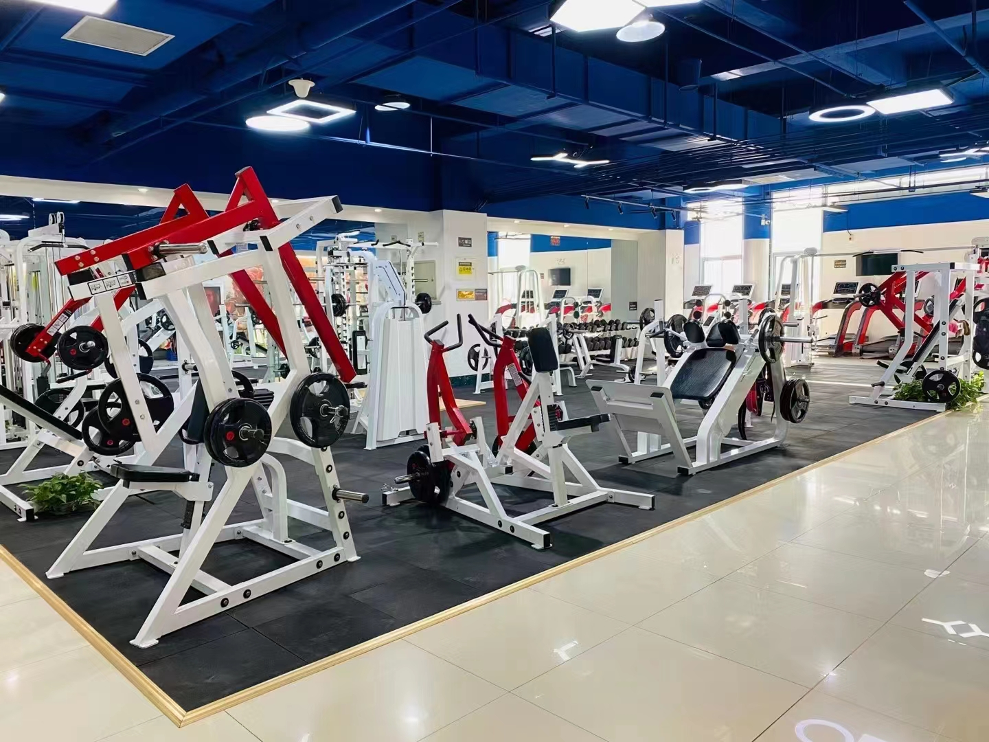 Home Workout Training Equipment Power Cage Squat Rack Chest Leg Press Multifunction Smith Machine