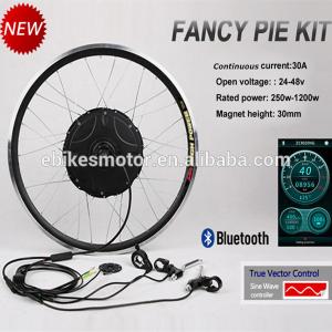 China e-bike motor with CE certificate magnetic motor for bike wholesale