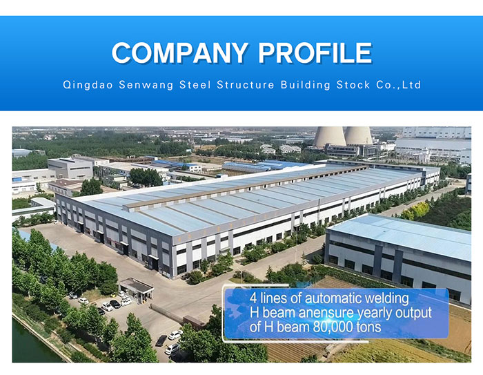 Long service life industrial storage logistics and transport facilities warehouses fabric structure steel building