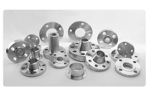 China Manufacture Forged Weld Neck Stainless Steel/Carbon Steel Flange