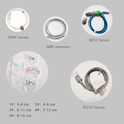 NIBP SPO2 EtCO2 Vital Sign Monitor