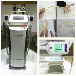 China Coolsculpting Freezing Fat Cryolipolysis Machine For Leg , Arms Fat Removing wholesale