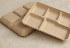 China 5 compartments Biodegradable Straw pulp food containers paper food trays wholesale