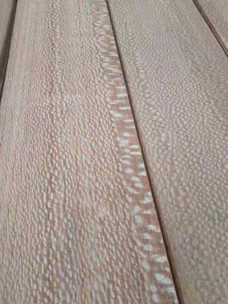 0.6mm Sliced Sapelli Sapele Pommele Natural Wood Veneer for Furniture Plywood