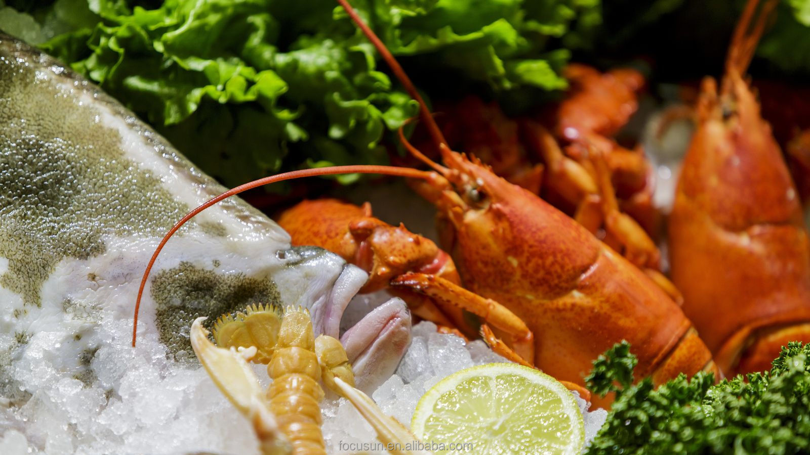 2200kg Operative Weight Flake Ice Machine Perfect for Large-Scale Seafood Production