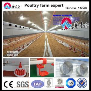 China OEM Standard Poultry House Steel Structure With Sliding Windows wholesale