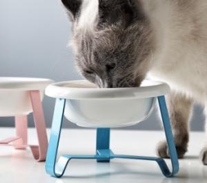 China Round Anti Slip 15.5*7cm Pet Food Feeder wholesale