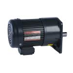 200W 0.25HP Electric Motor Gear Box 1400rpm Drawing Customization