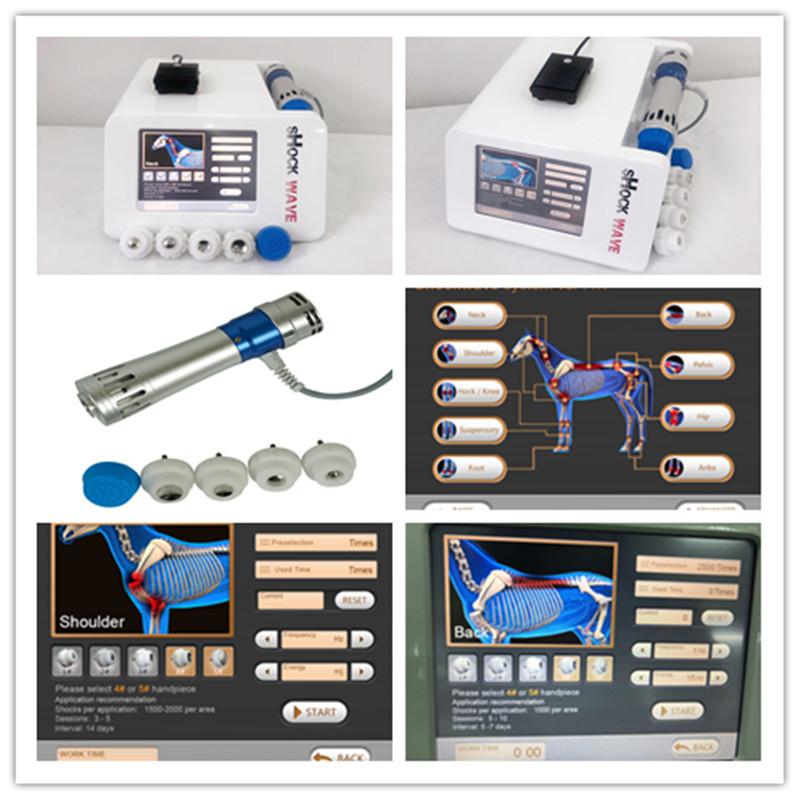 ESWT 16HZ Horses Shock Wave Therapy Equipment