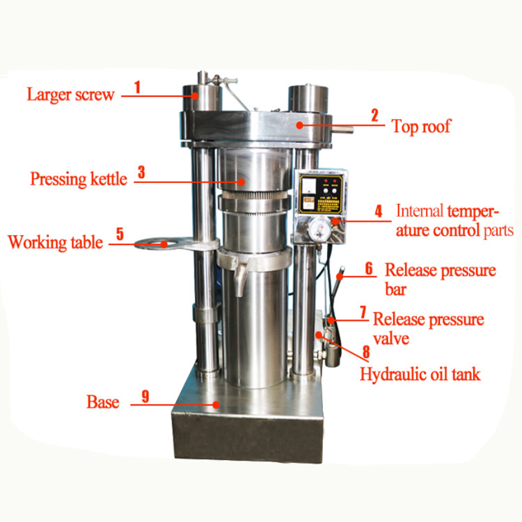 Avocado Cold Press Avocado Oil Expeller Hydraulic Oil Type Mill Machinery
