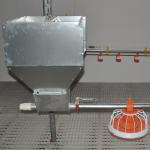 Poultry Farm Fully Automatic Broiler Feeding System