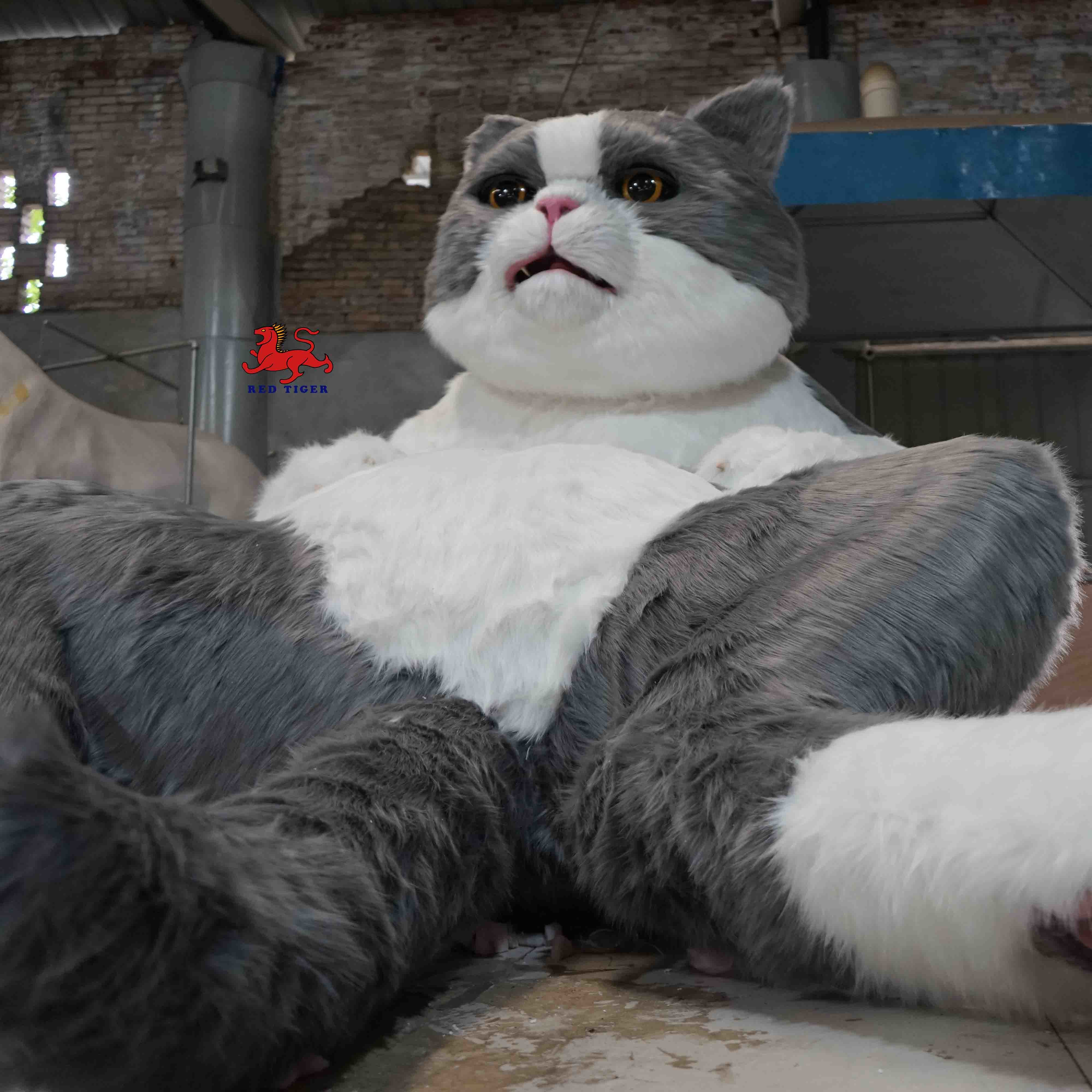 Life Size Realistic Animatronic Animals 200W Size Custom Interactive Talking Cat