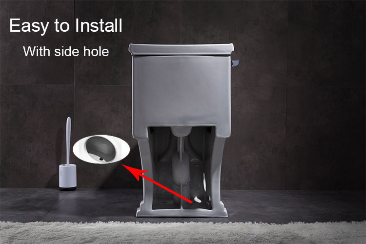 1.28gpf 4.8lpf Dual Flush single piece toilet bidet
