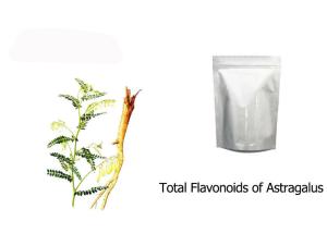 China Dry Astragalus Membranaceus Root Extract wholesale