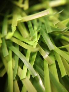 China Light Green 18000/9F 50mm Artificial Diamond Football Grass wholesale