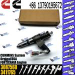 Fuel Injector 4307795 3087733 3095086 3411691 3411759 3411764 3411765 3411766