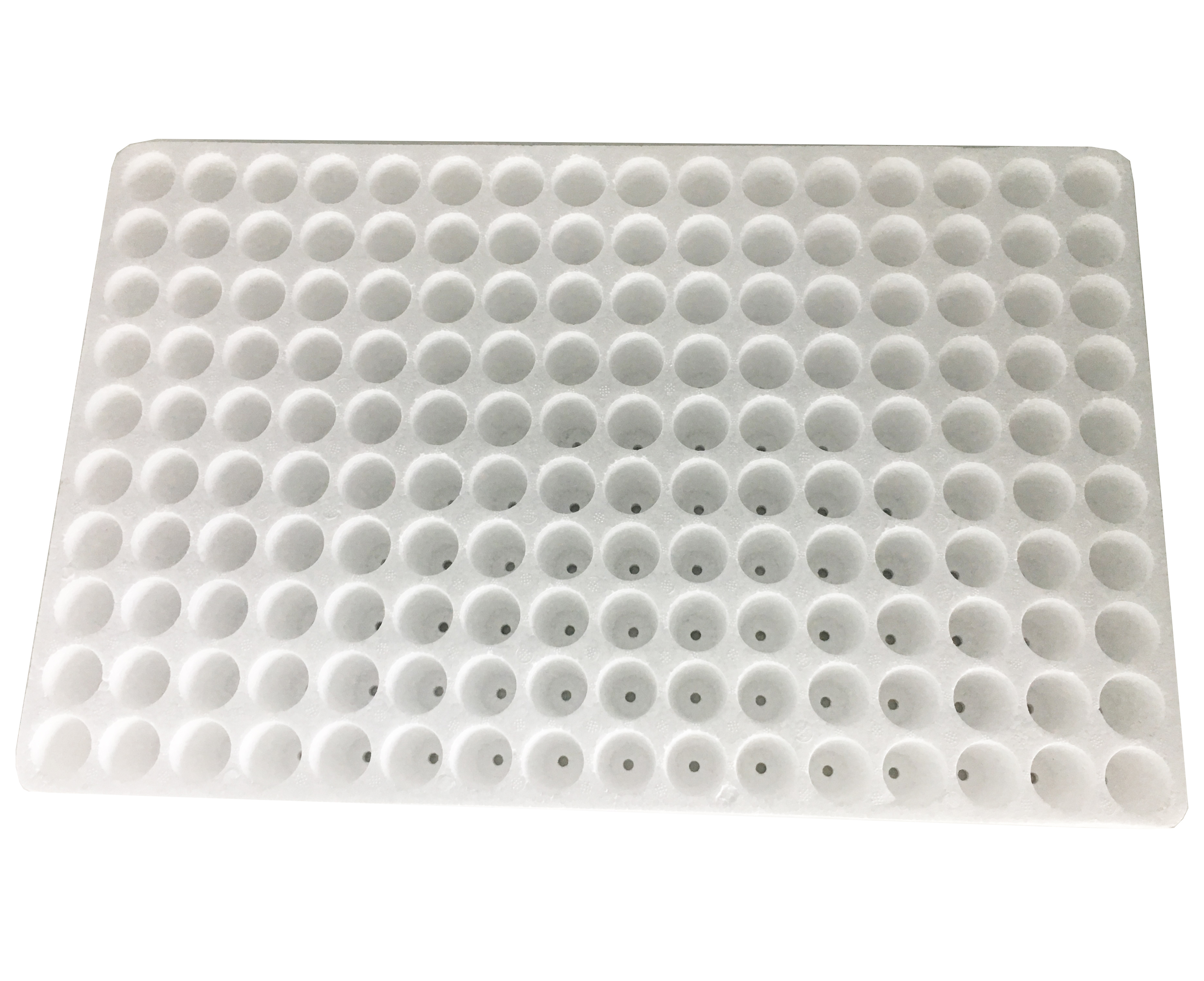 White Rectangle 160 Cavity Plastic Nursery Tray EPS Foam Seed Starter Trays