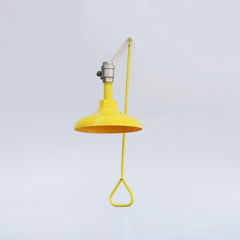 Ceiling type ABS coating stainless steel shower, emergency drench shower head