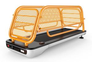 China Household Electric Dog Treadmill , Dog Running Machine wholesale
