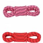 Outdoor Rock Climbing Rope 2~20mm Nylon Rope 50ft With Carabiners