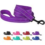 Heavy Duty Nylon Dog Leash