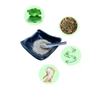 China Lose Weight Lotus Leaf Extract Powder Nuciferine 50% Lowering Blood Lipids wholesale