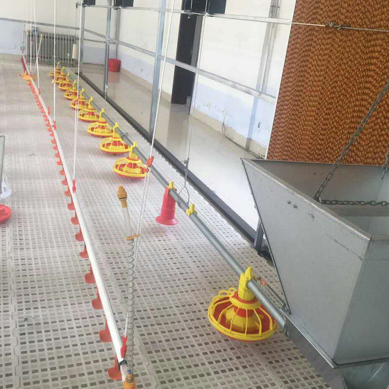 12 Birds 60HZ Poultry Farm Feeding System