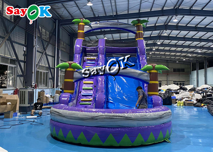 Wet Dry Inflatable Slide Clearance Two Lanes Big Tropical Palm Tree Inflatable Water Slide With Splash Pool