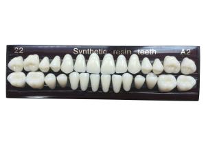 China Material Dental Acrylic Resin Teeth Tooth Colored Acrylic Resin Teeth For Dentures wholesale