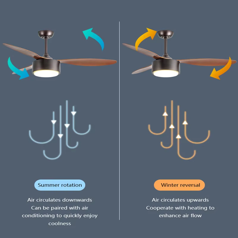 Modern 42/52 Inch LED Ceiling Fan with Mute Light Iron Body & Remote Control for Living Room Use-Direct from Factory