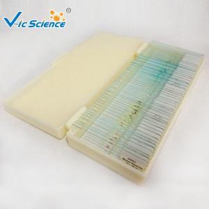 China Specimen Biological 50pcs Microscope Glass Slides Set wholesale