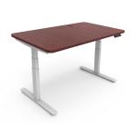 Sit Standing Laptop Writing Desk