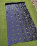 Weed Control Mulch Film, Agriculture Vegetable Black PE Films, 5 Holes