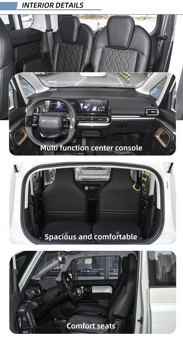 E100 E300 Ev Electric Car