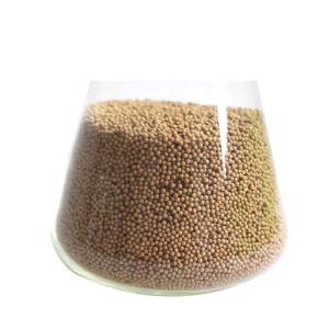 China Chinese 2021 3A zeolite molecular sieve wholesale