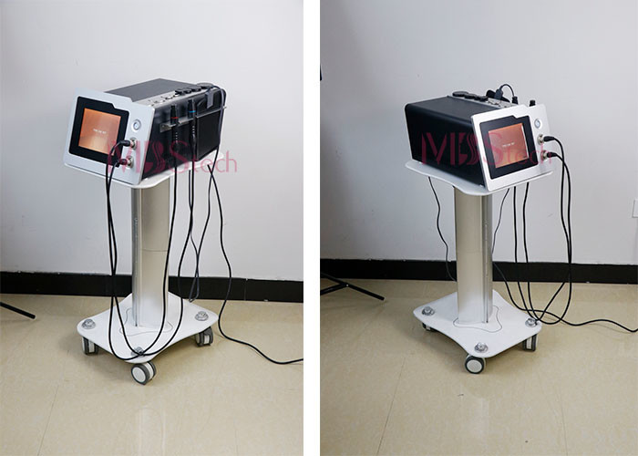 220W 0.5Mhz Diatermia Therapy Physio Tecar Equipment