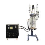 Automatic Lifting Lab Glass Reactor 10L Chemical Stirring Vacuum