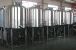 1000L food grade stainless steel fermentation tanks mirror polished for beer