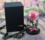 rose gift Factory Wholesale Eternal Beautiful Forever Little Prince Roses
