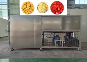 China Vacuum Industrial Freeze Dryer 18-24 Hours Drying Time wholesale